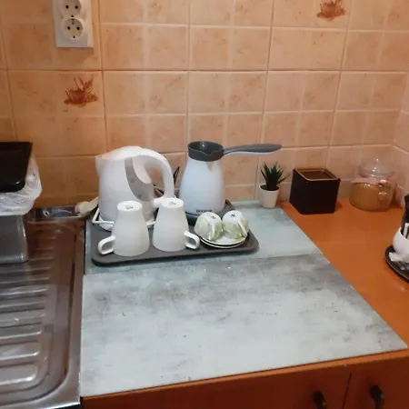 Ana * 莱斯科瓦茨