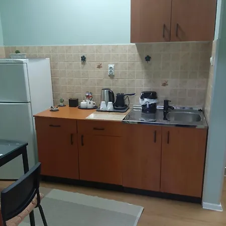 Ana 公寓 莱斯科瓦茨