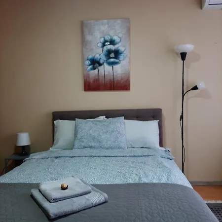 Ana * 莱斯科瓦茨